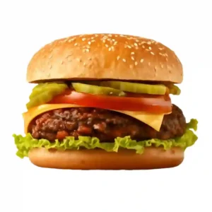 Simple Style Hamburger (Regular)