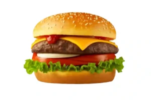 Steak Style Hamburger (Regular)